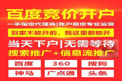 某企业通过SEM实现品牌与销售双增长的案例